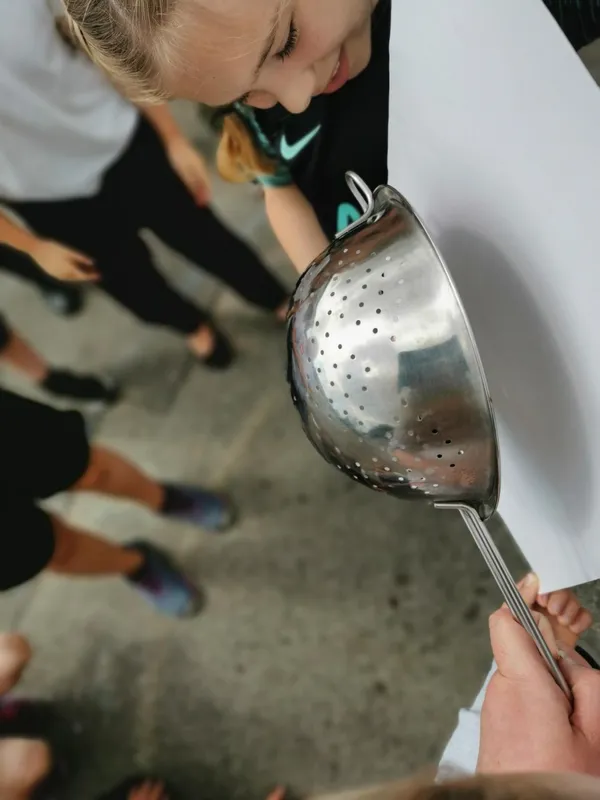 Gallery - created at 2019-02-05 14:14:44 - image 1