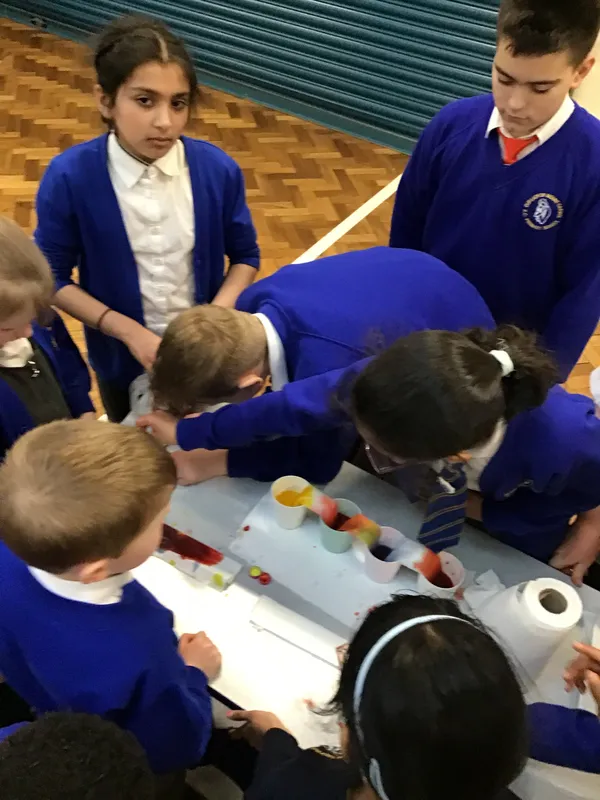 British Science Week - image 2