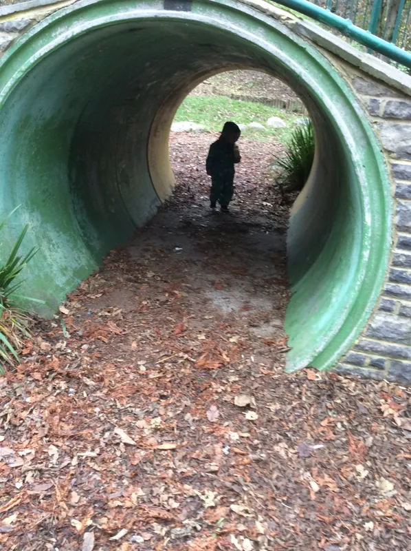 Gallery - created at 2024-11-05 15:27:50 - image 44 Gallery - created at 2024-11-05 15:27:50 - image 44