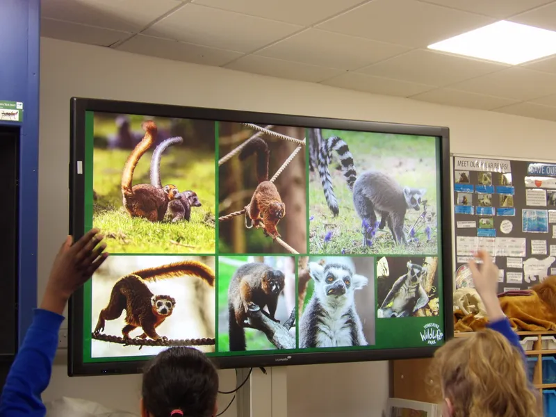 Y3 Yorkshire Wildlife Park Trip - image 38