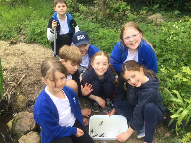 Forest School  - image 1