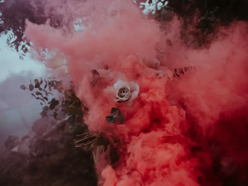 BBBBBB - image 8