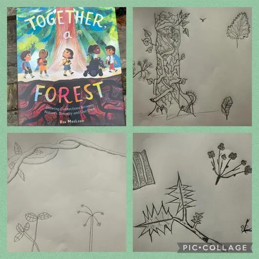 Forest School 2 - image 1 Forest School 2 - image 1