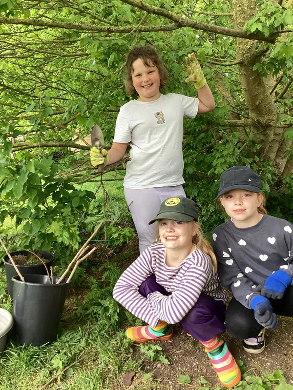 Forest Schools Class 3 - image 7