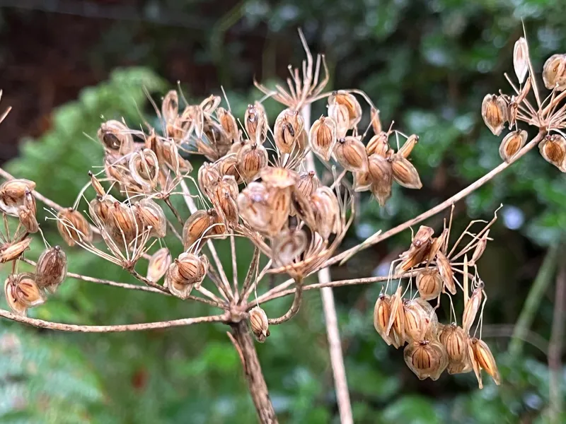 Gallery - created at 2023-10-15 15:16:55 - image 22