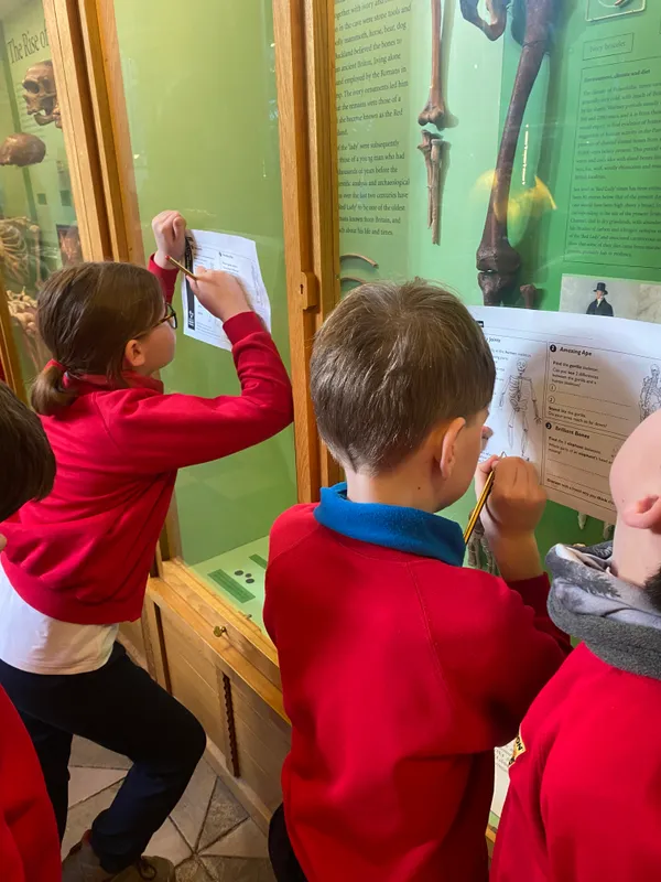 Gallery - created at 2024-01-16 20:24:51 - image 5 Gallery - created at 2024-01-16 20:24:51 - image 5