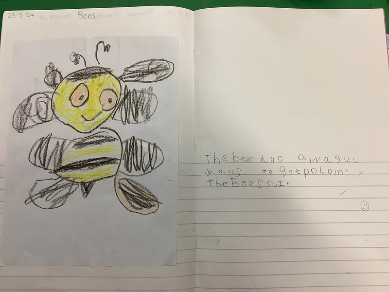 Our Photo Gallery - image 21