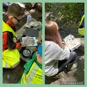 Forest School 35 - image 2 Forest School 35 - image 2