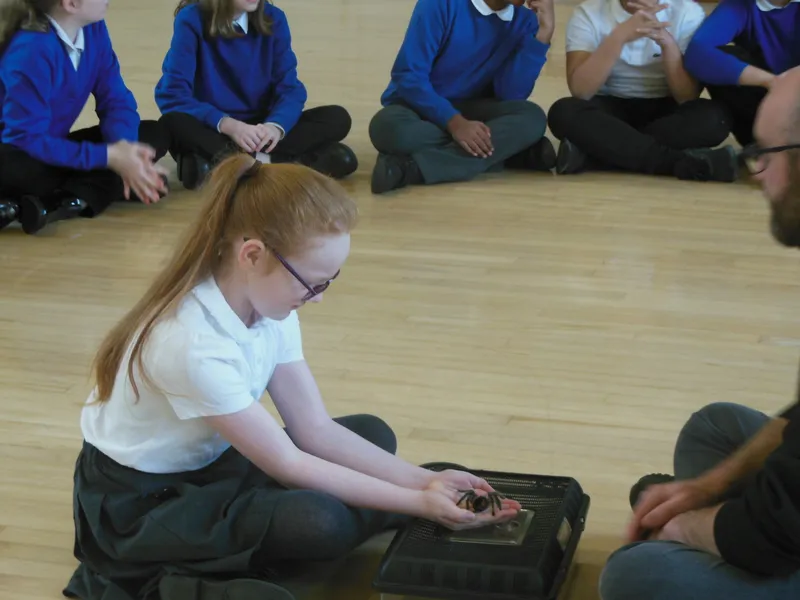 Y6 Reptile Rendezvous - image 9