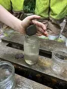 Forest School 65 - image 4 Forest School 65 - image 4