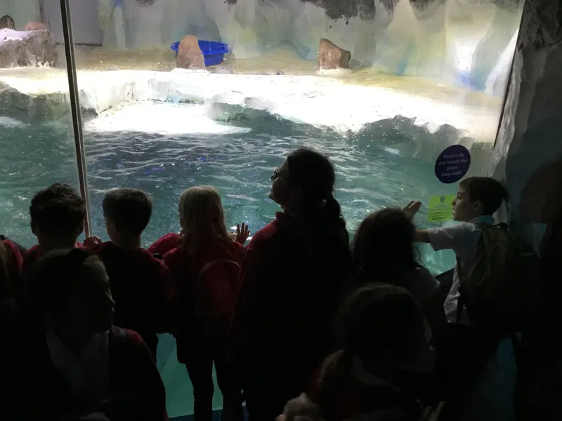 Year 5 Sealife Centre  - image 71