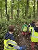 Forest School 32 - image 3 Forest School 32 - image 3