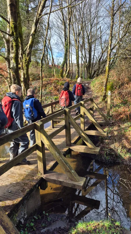 Gallery - created at 2025-02-26 20:19:52 - image 81