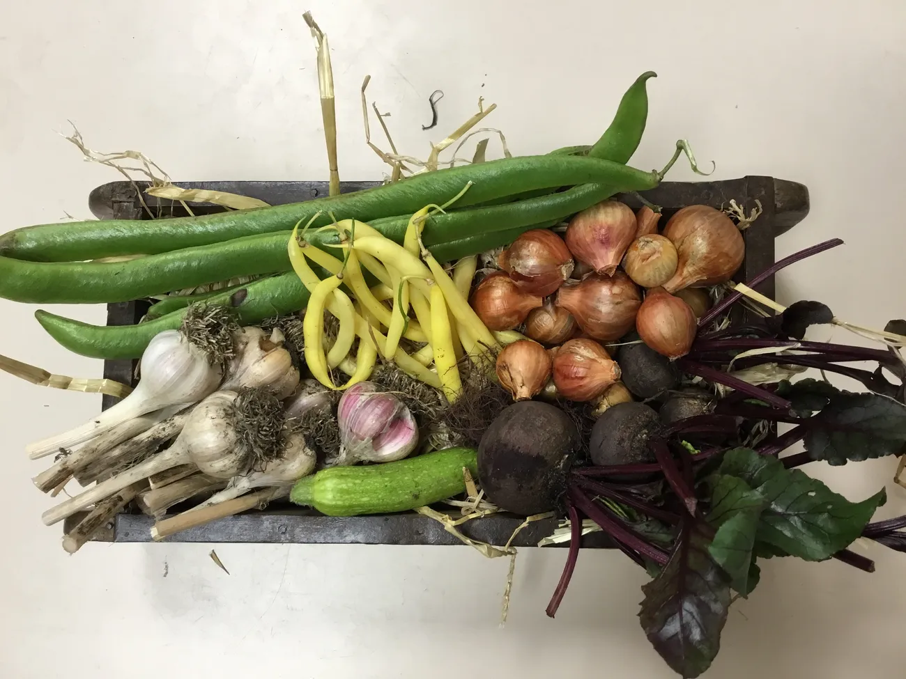 Gallery - created at 2023-09-07 16:46:06 - image 3 Gallery - created at 2023-09-07 16:46:06 - image 3