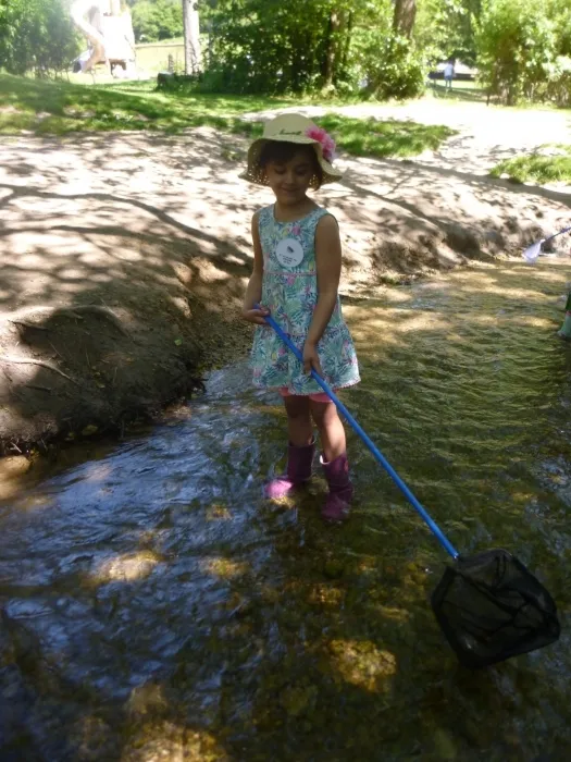 Gallery - created at 2018-07-13 21:33:12 - image 8 Gallery - created at 2018-07-13 21:33:12 - image 8