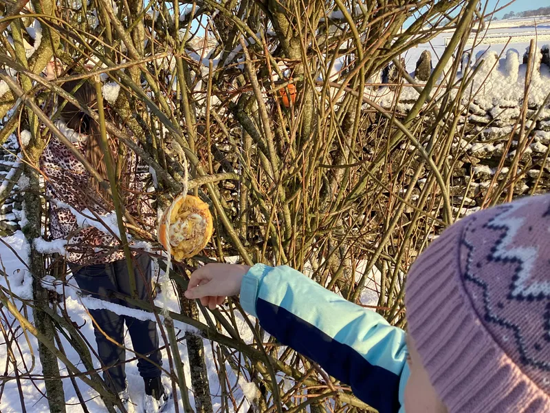 Gallery - created at 2025-02-25 16:17:58 - image 11