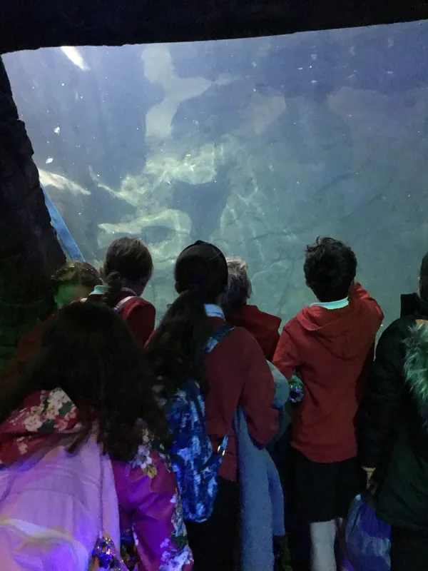Year 5 Sealife Centre  - image 70