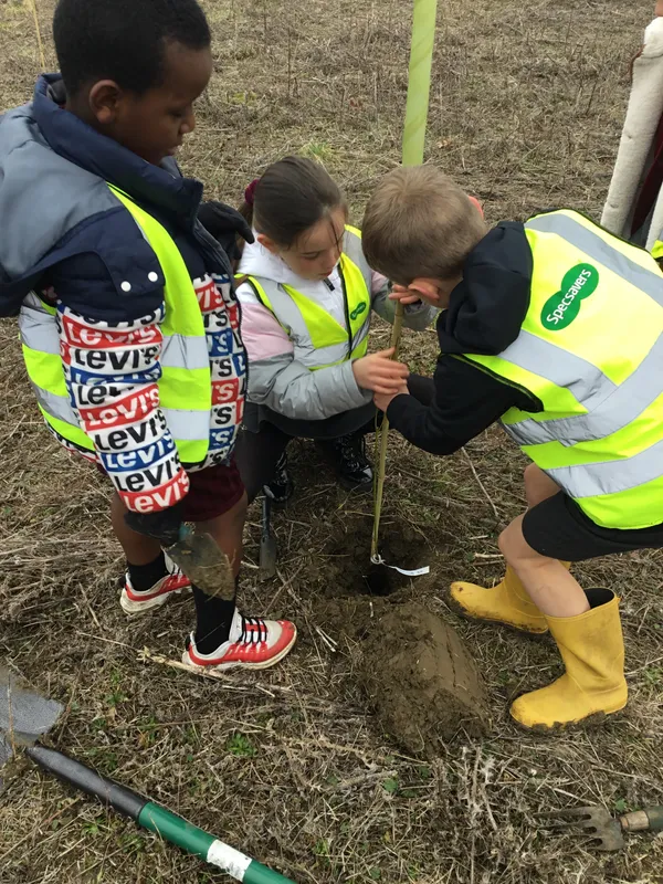 See our work in progress in this gallery! - image 35