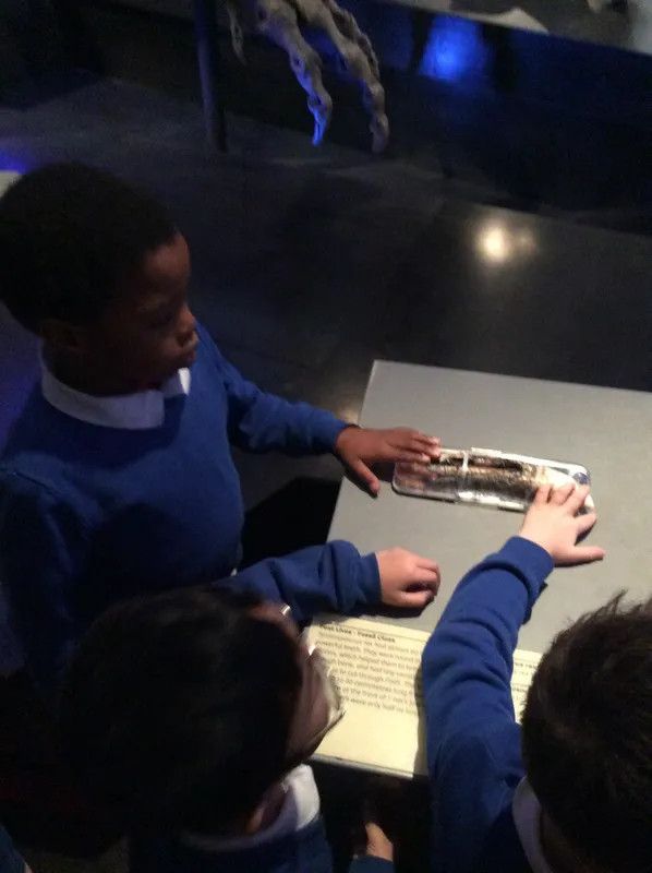 Gallery - created at 2024-02-09 11:53:37 - image 67