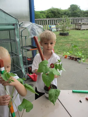 Giant Beanstalks - image 10