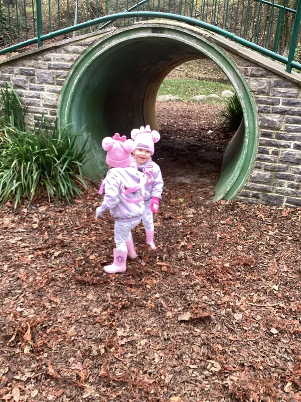 Gallery - created at 2024-11-08 10:10:59 - image 9 Gallery - created at 2024-11-08 10:10:59 - image 9