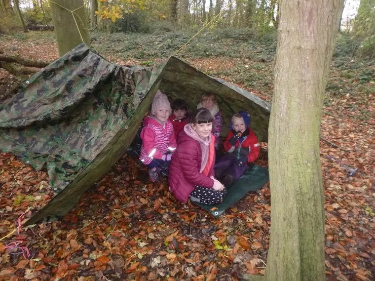 Gallery 7 - image 12