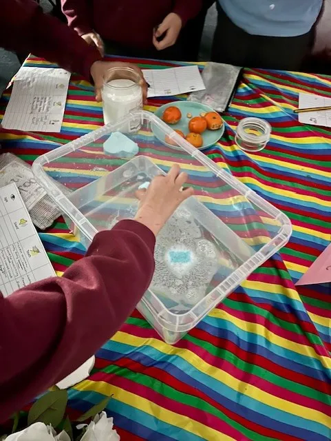 Using Senses - Y5 (24.03.26) - image 10