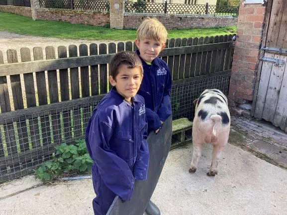 Farm 2025 - Gallery 3 - image 8