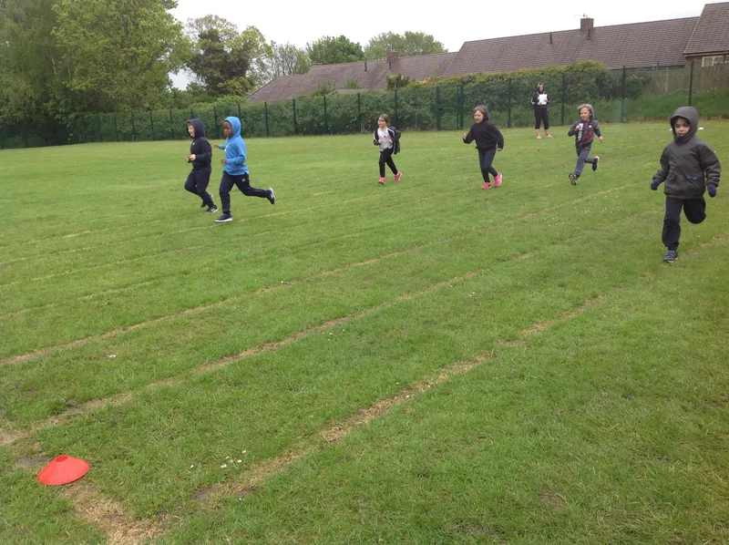 Gallery - created at 2021-06-11 10:23:24 - image 39