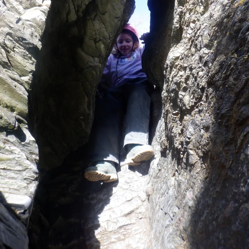 Gallery - created at 2025-02-26 20:19:52 - image 24