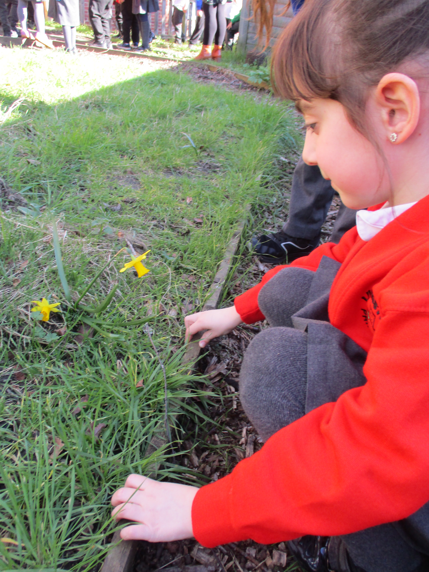 Spring things in Penguins!