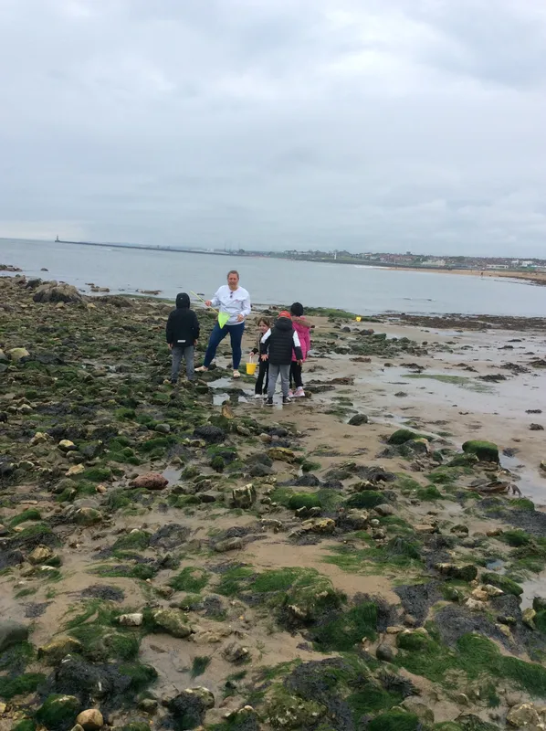 Gallery - created at 2024-05-23 10:29:28 - image 18