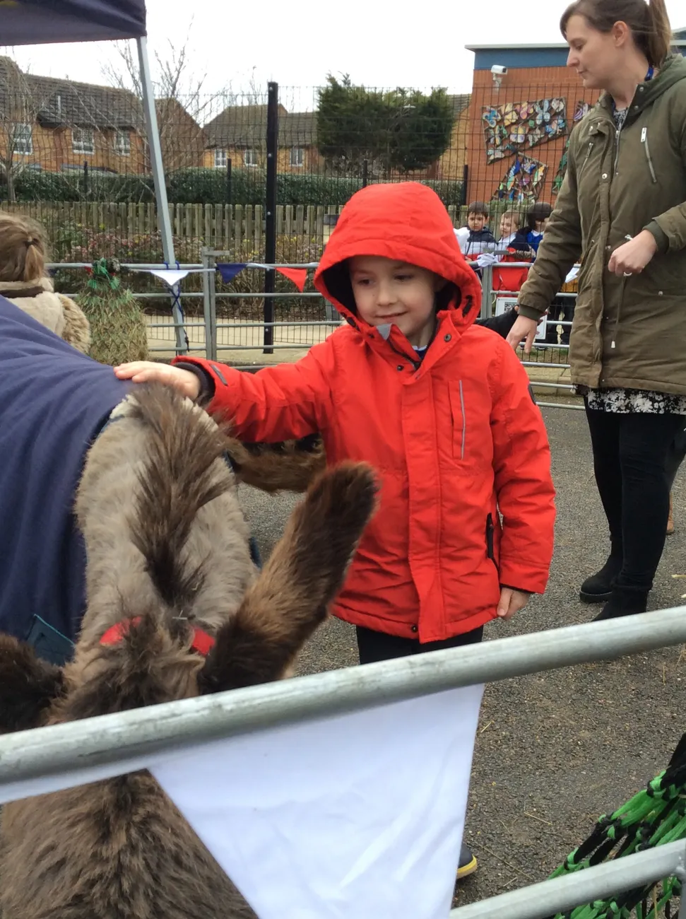 Gallery - created at 2022-03-04 13:11:52 - image 4