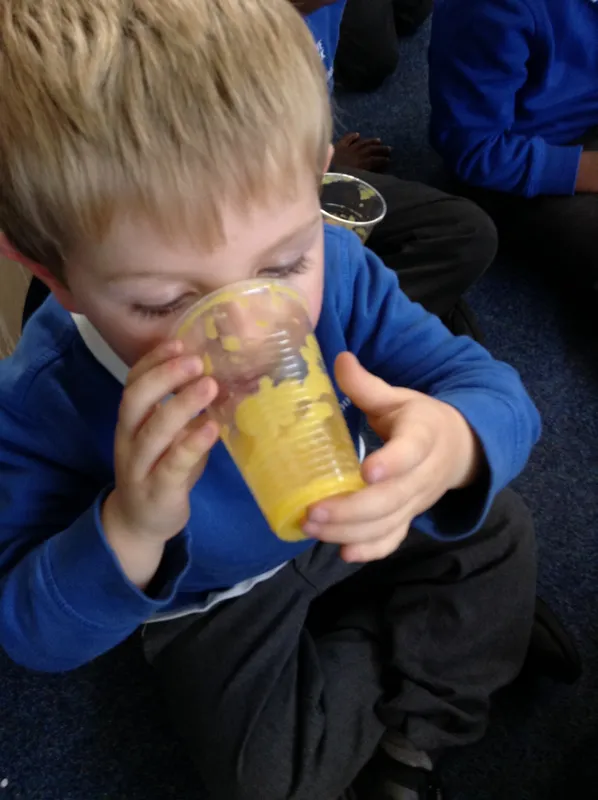 Gallery - created at 2017-11-01 16:18:07 - image 3