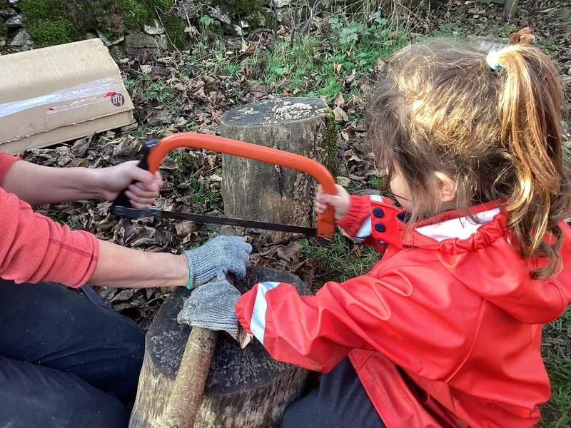 Gallery - created at 2025-02-25 16:17:58 - image 5