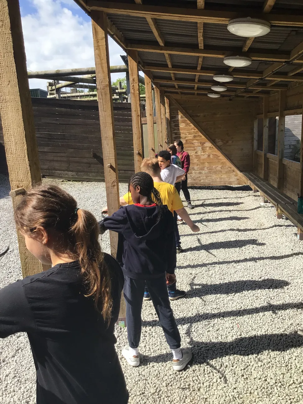 Gallery - created at 2022-06-07 22:51:19 - image 34 Gallery - created at 2022-06-07 22:51:19 - image 34