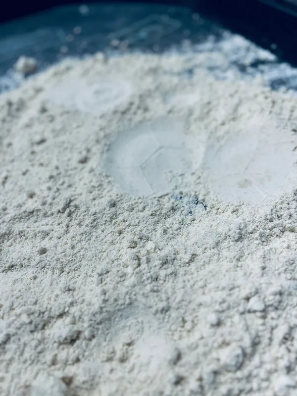 Spring Term  - image 1