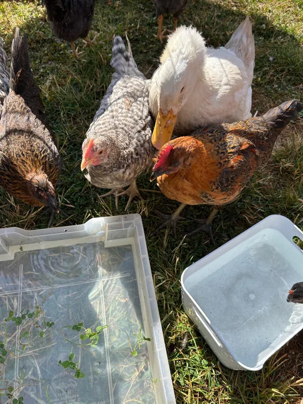 Gallery - created at 2025-07-12 11:34:18 - image 12