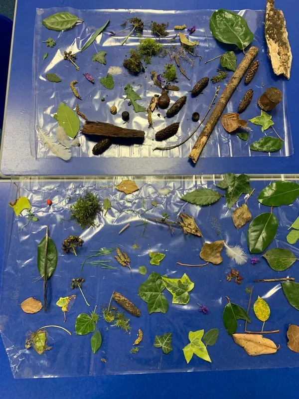 Gallery - created at 2023-02-24 15:31:22 - image 3 Gallery - created at 2023-02-24 15:31:22 - image 3