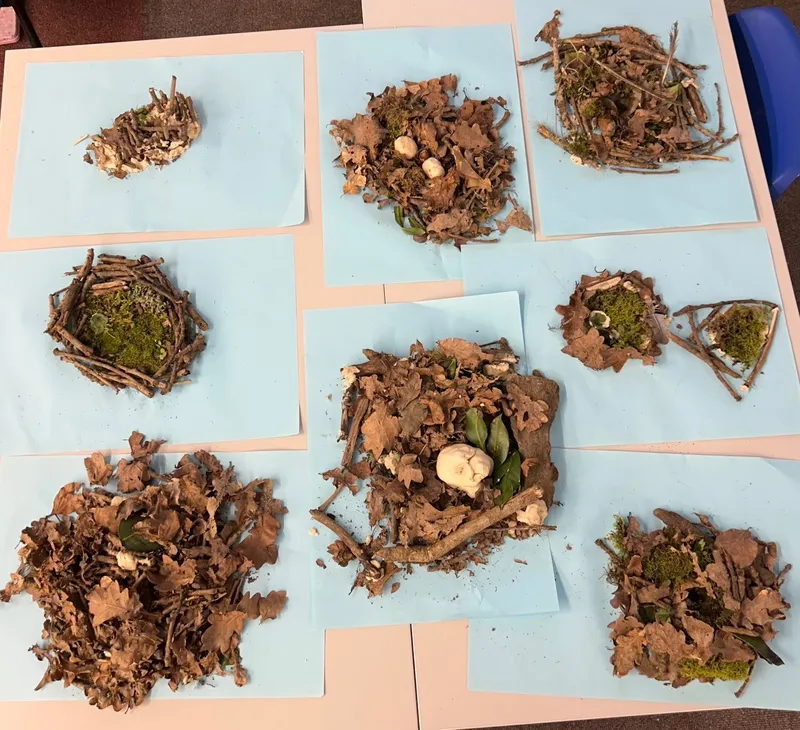 Science Week  - image 11