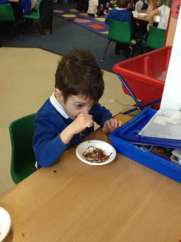 Gallery - created at 2018-02-22 15:43:39 - image 8