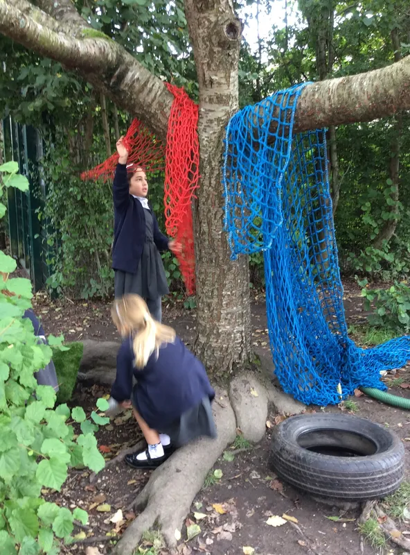 Gallery - created at 2020-02-19 15:39:40 - image 2