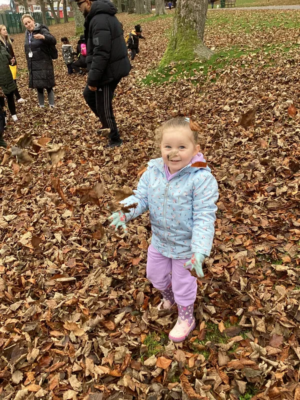 Gallery - created at 2024-11-08 10:10:59 - image 81 Gallery - created at 2024-11-08 10:10:59 - image 81