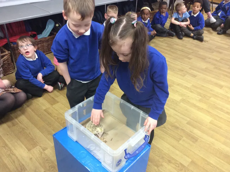 Gallery - created at 2024-03-05 13:52:56 - image 32 Gallery - created at 2024-03-05 13:52:56 - image 32