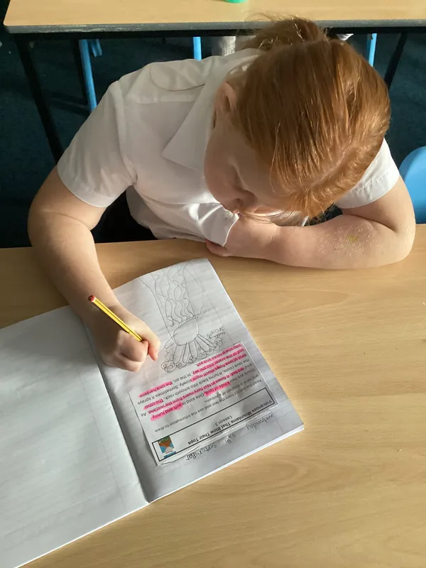 Gallery - created at 2025-10-27 10:30:39 - image 2 Gallery - created at 2025-10-27 10:30:39 - image 2