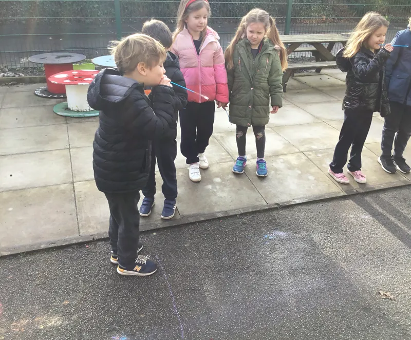 Gallery - created at 2022-02-12 23:06:23 - image 5