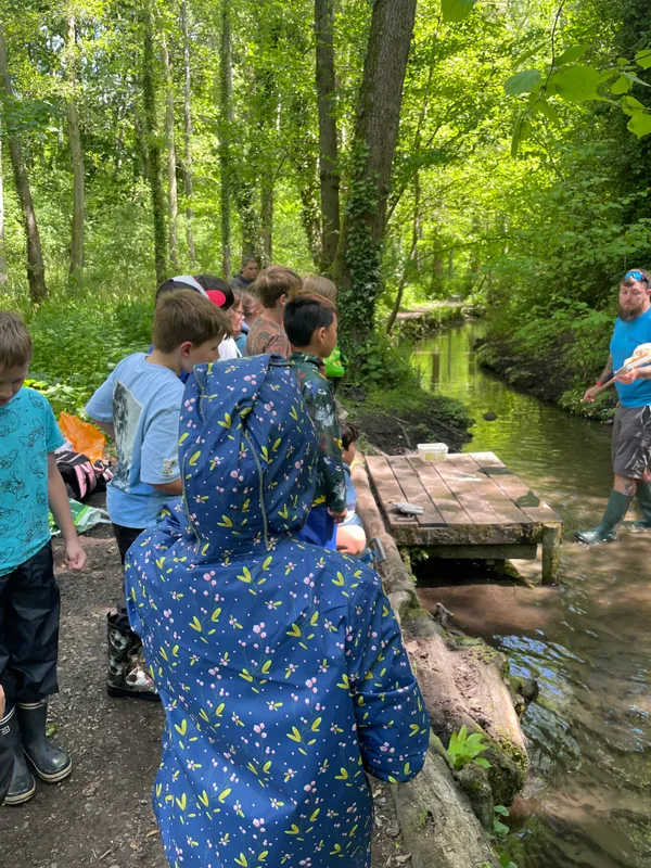 Drews Pond Woods - image 35