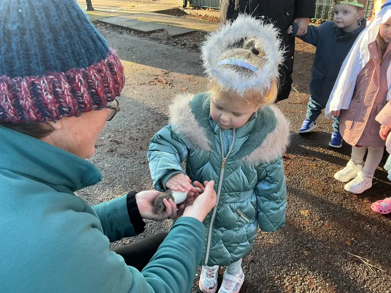 Stella farm on wheels Part 1 - image 32