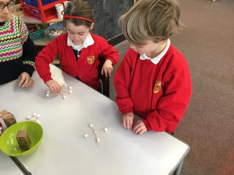 Gallery - created at 2023-02-10 12:16:35 - image 1