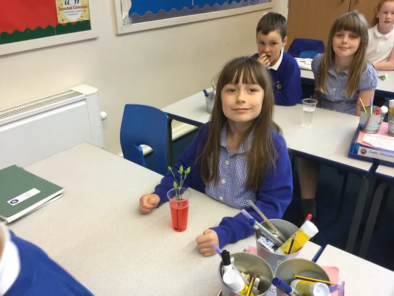 Gallery - created at 2019-06-11 19:36:35 - image 1 Gallery - created at 2019-06-11 19:36:35 - image 1